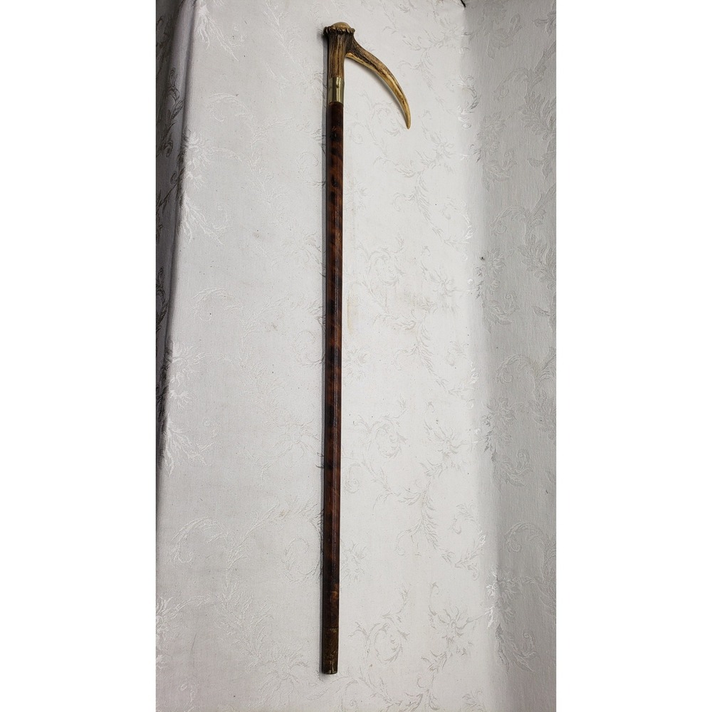 Vtg Antique Antler Stag Handle Knobby Walking Stick Cane Old 33.5 Black Forest - Picture 3 of 8